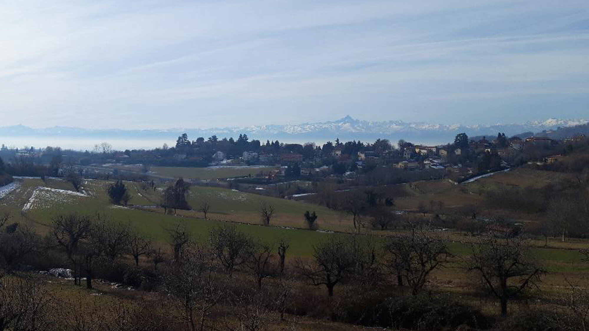 Immobiliare Testona