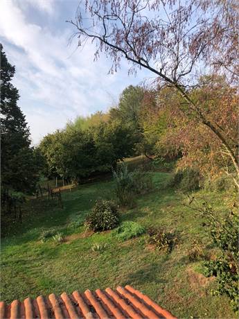 Photo 36
